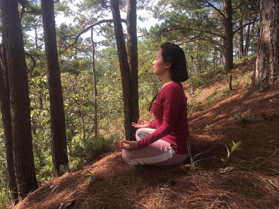 Farmstay O A Phao - Km37 Ham Yen Tuyen Quang Екстер'єр фото
